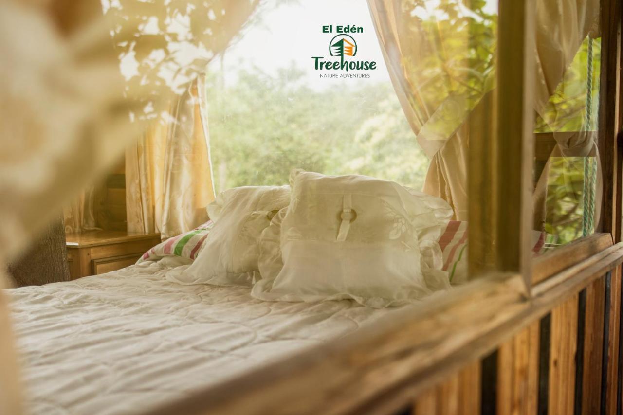 Вилла Eden Treehouse Миндо Экстерьер фото