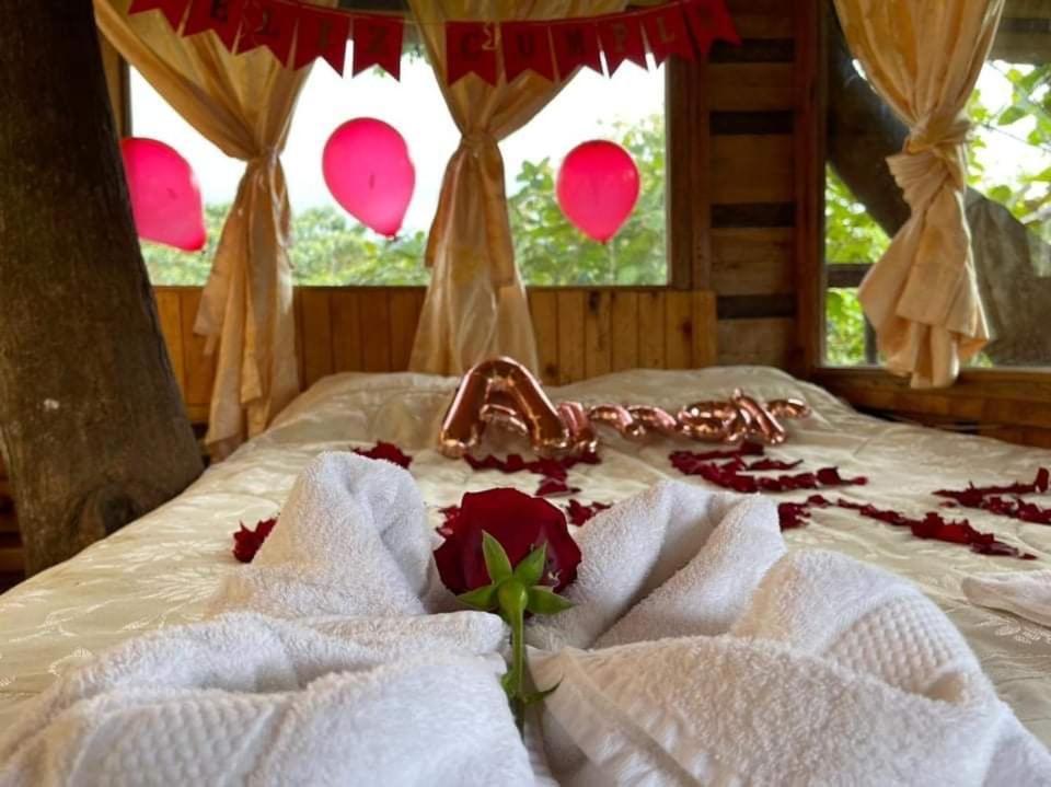 Вилла Eden Treehouse Миндо Экстерьер фото