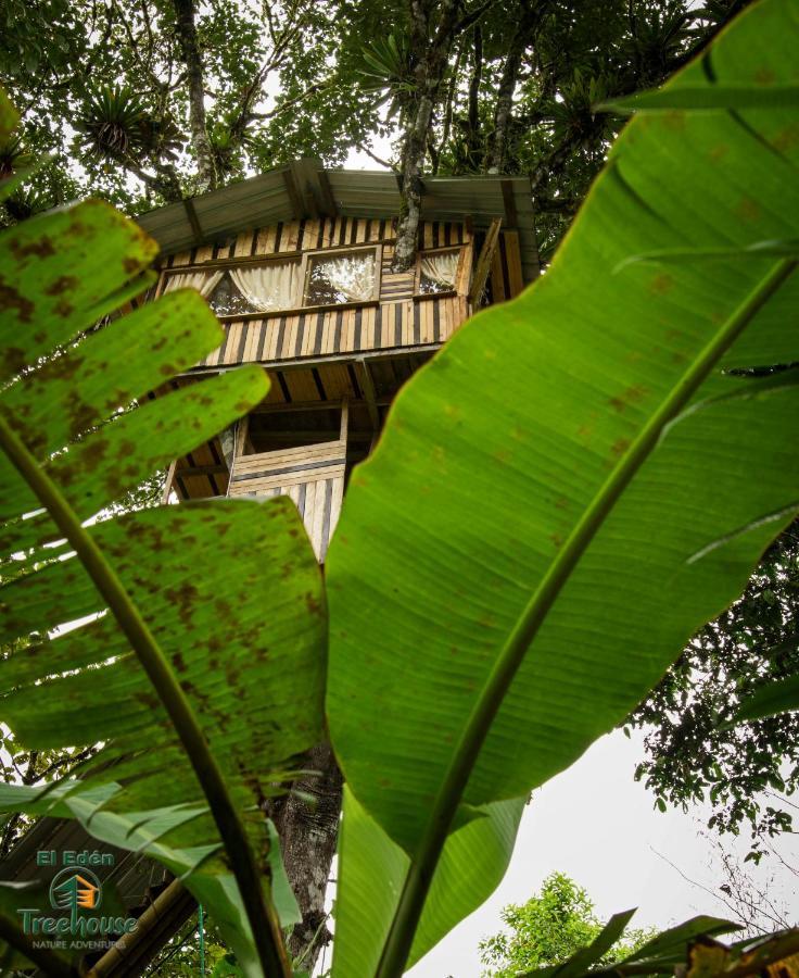 Вилла Eden Treehouse Миндо Экстерьер фото