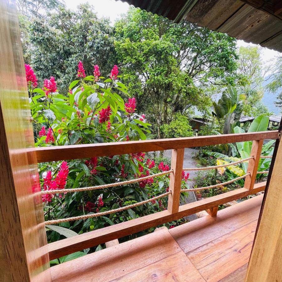 Вилла Eden Treehouse Миндо Экстерьер фото