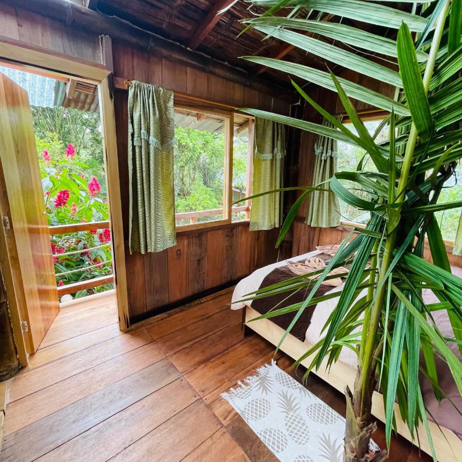 Вилла Eden Treehouse Миндо Экстерьер фото