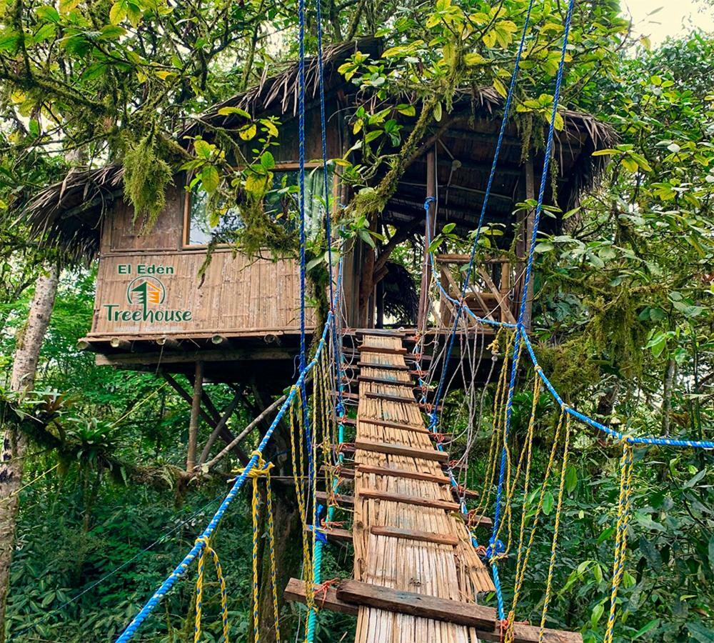 Вилла Eden Treehouse Миндо Экстерьер фото